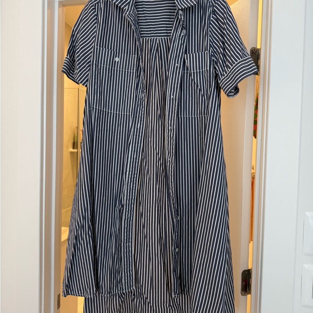 Everlane Dress in Navy and White Stripes S